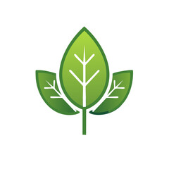 Aufkleber - Stylized green leaves with vein pattern on a white background. Nature logo template. Vector illustration of three leaves.