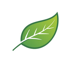 Aufkleber - Stylized green leaf illustration with leaf veins for eco-friendly designs and plant based marketing