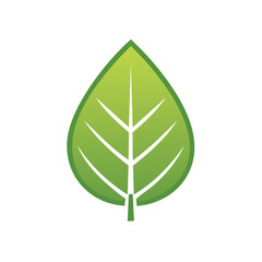 Aufkleber - Single green leaf illustration with veins, nature design, ecological element