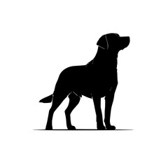 Poster - Silhouette of a labrador retriever standing with its head raised looking up against a white background
