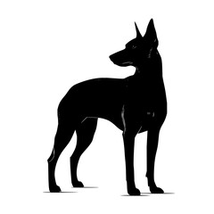 Poster - Silhouette illustration of a sleek black dog standing with pointed ears and a slender body shape design