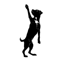 Poster - Silhouette of a black dog standing on its hind legs with one paw raised up against a white background