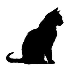 Poster - Silhouette of a cat sitting upright with a curled tail and pointed ears looking to the right side view 100