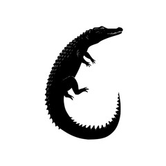 Poster - Silhouette of a crocodile with its tail curled upwards on a white background showing its scales and teeth