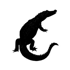 Poster - Silhouette of an alligator with its tail curled up and its mouth slightly open on a white background image