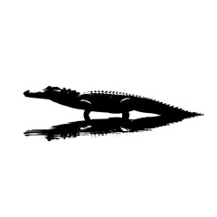 Poster - Silhouette of an alligator standing on a surface with its reflection visible in black and white style