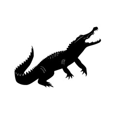 Poster - Silhouette of an alligator with its mouth open showing teeth and a long tail on a white background image