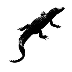 Poster - Silhouette illustration of a reptile with a long tail and short legs on a white background design style