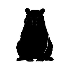 Poster - Silhouette of a bear sitting upright with visible claws and fur detail against a white background image