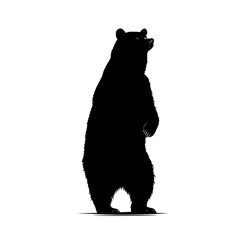 Poster - Silhouette of a standing bear looking up with a white background and a black shadow on the ground line