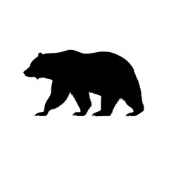 Poster - Silhouette of a large bear walking across a white background with visible fur and distinct bear features