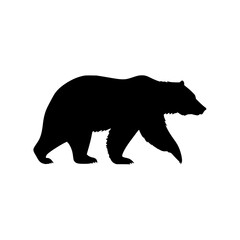 Poster - Silhouette of a bear walking on a white background showing its fur and claws in a side view of the animal