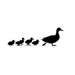 Poster - Silhouette of a duck and ducklings walking