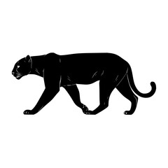 Poster - Vector image of a black panther silhouette walking