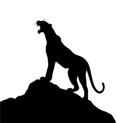 Poster - Silhouette of a roaring panther on a rock