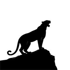 Poster - Silhouette of a roaring panther on a rock formation