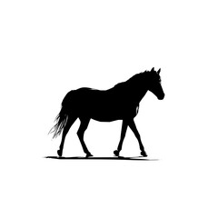 Poster - Silhouette of a horse walking