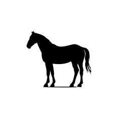 Poster - Silhouette of a horse in an urban setting