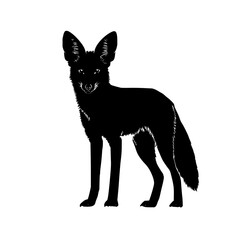 Poster - Silhouette of a standing fox with large ears and a bushy tail looking forward on a white background