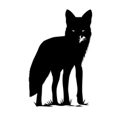 Poster - Silhouette of a standing coyote with pointed ears and a bushy tail in a black and white illustration