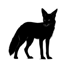 Poster - Silhouette of a standing fox with pointed ears and a bushy tail against a white background, facing left