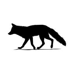 Poster - Silhouette of a fox walking with its head down and its tail up against a white background in a vector image