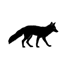 Poster - Silhouette of a fox walking with its tail visible and ears perked up against a plain white background view