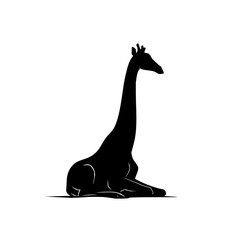 Poster - Silhouette of a giraffe sitting gracefully with its long neck extended in a serene and calm posture view