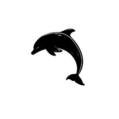 Poster - Silhouette of a dolphin leaping, urban aquarium