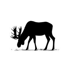 Poster - Silhouette of a moose grazing in a city park