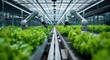 © koosy - A scene where a robotic arm is tending to plants growing in a greenhouse, used for the concept of future smart agriculture and promotional materials of agricultural technology companies, among others.