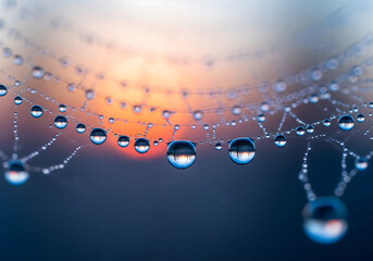 A hyper-realistic macro shot of delicate water droplets on a glowing spiderweb at dawn, refracting a rainbow and showing nature's intricate beauty.