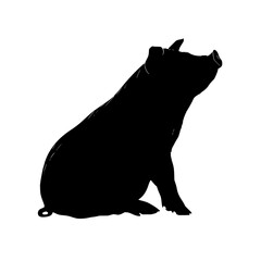 Poster - Silhouette illustration of a pig sitting upright with its head tilted upwards on a white background