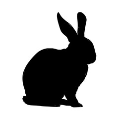 Poster - Silhouette of a rabbit sitting upright with long ears and a fluffy body on a white background image view