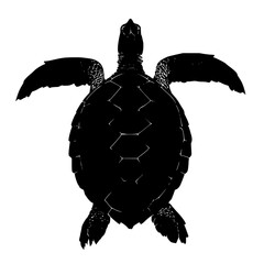 Poster - A silhouette illustration showing a sea turtle with its flippers extended on a white background view from above