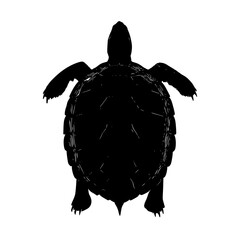 Poster - Turtle shell network diagram vector for tech infrastructure and cybersecurity analysis design