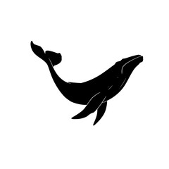 Poster - Whale icon vector illustration for tech industry, ai, big data, and machine learning projects and design