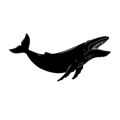 Poster - Whale vector illustration for tech startup logo design and branding assets for digital company projects