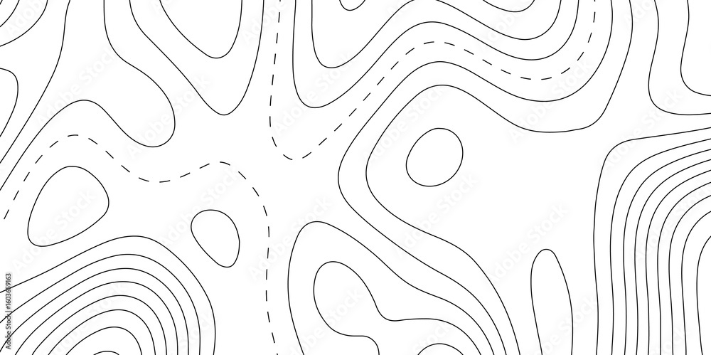 Map Pattern Reliefs Image vectorielle Stock Vector illustration. wave Line topography map ...
