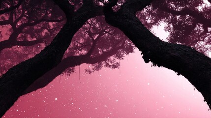 Wall Mural - Silhouetted tree branches against a starry pink sky Stars Night Dark Nature