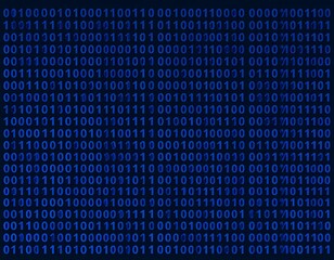 binary code matrix