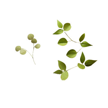 Eco zero waste plastic free and saving energy minimal isolated on transparent background