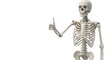 © odzie - Skeleton Giving Thumbs Up: Anatomy, Health, and Halloween