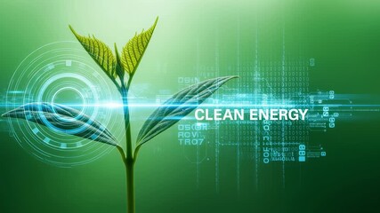 Closeup of green seedling with digital binary code and tech elements indicating clean energy.