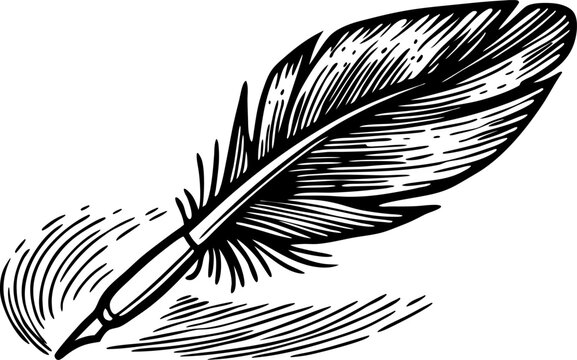 Vintage black feather quill pen drawing hand drawn sketch of classic writing tool, ink illustration, antique
