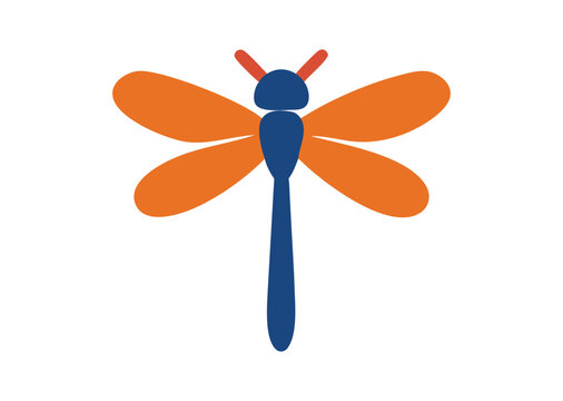 Dragon fly vector illustration