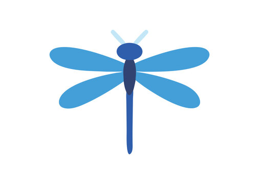 Dragon fly vector illustration