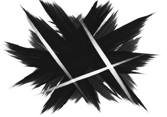 Poster - Black brush strokes create an abstract and artistic design, isolated on transparent background