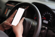 © Okta - Person holding a smartphone with a blank white screen inside a car. Mockup for a mobile app or GPS navigation while sitting in a vehicle.