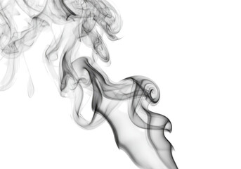 Poster - An abstract plume of gray smoke swirls and curls against a stark transparent